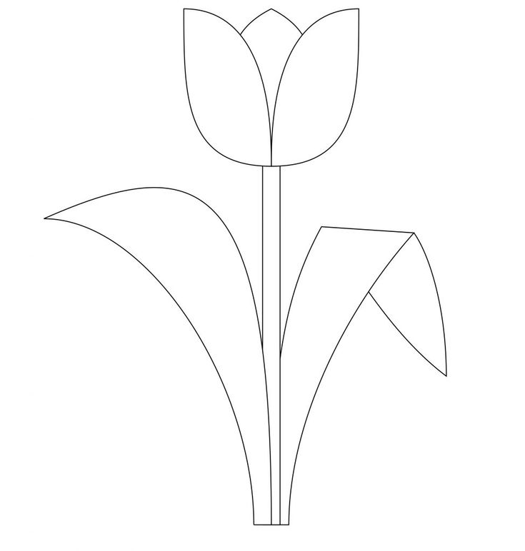 Detail Tulip Template To Print Nomer 15