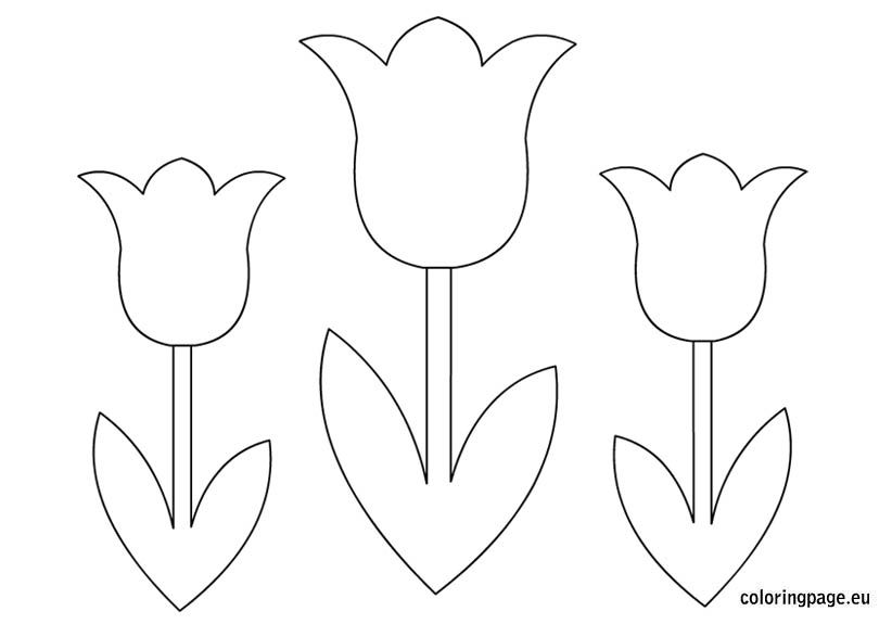Detail Tulip Template To Print Nomer 3