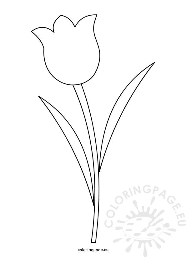 Detail Tulip Template To Print Nomer 19