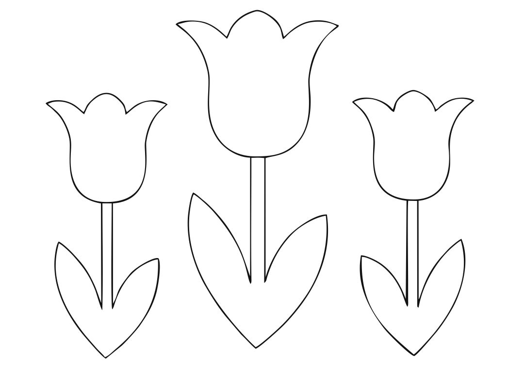 Detail Tulip Template To Print Nomer 4