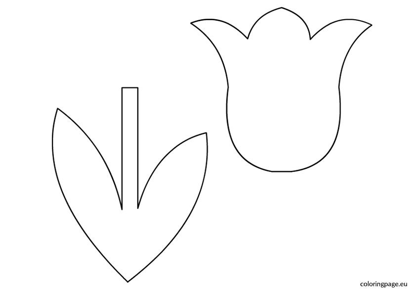 Detail Tulip Template To Print Nomer 6
