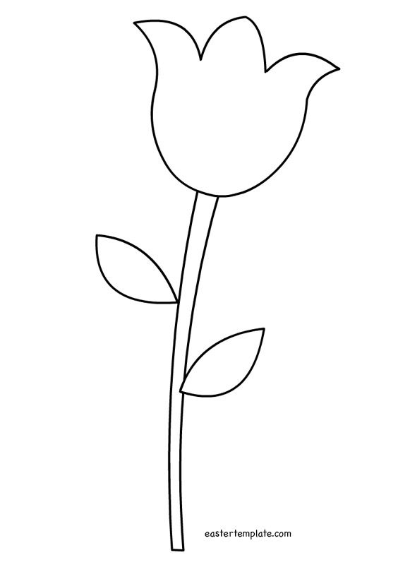 Detail Tulip Template To Print Nomer 7