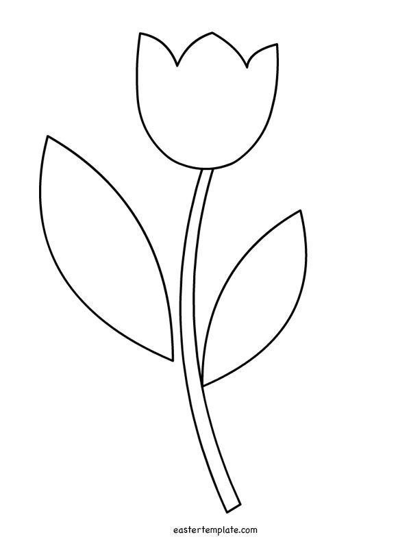 Detail Tulip Template To Print Nomer 8