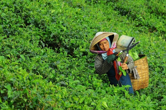 Detail Tuliskan Tiga Contoh Pekerjaan Yang Menghasilkan Barang Nomer 38