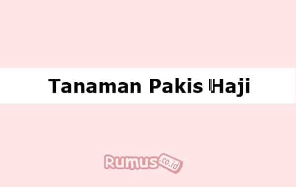 Detail Tumbuhan Pakis Haji Nomer 37