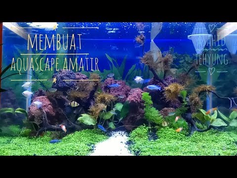 Detail Tutorial Aquascape Pemula Nomer 35