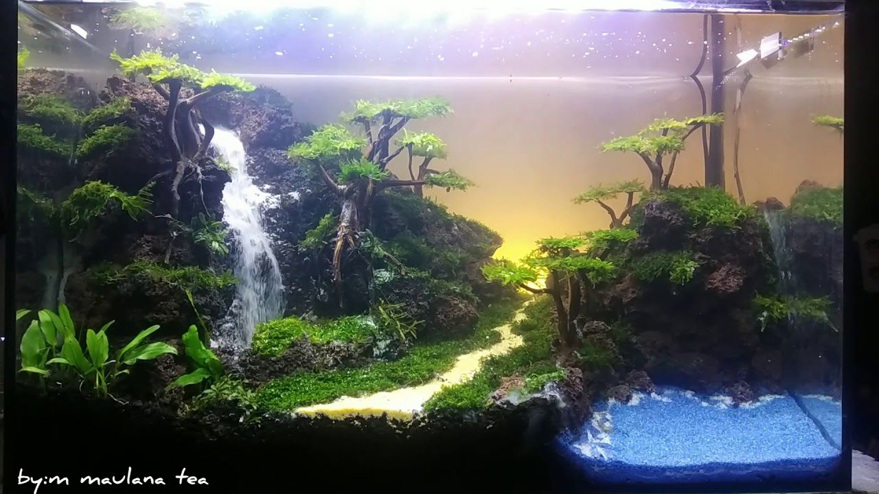 Detail Tutorial Aquascape Pemula Nomer 37