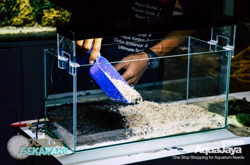 Detail Tutorial Aquascape Pemula Nomer 5