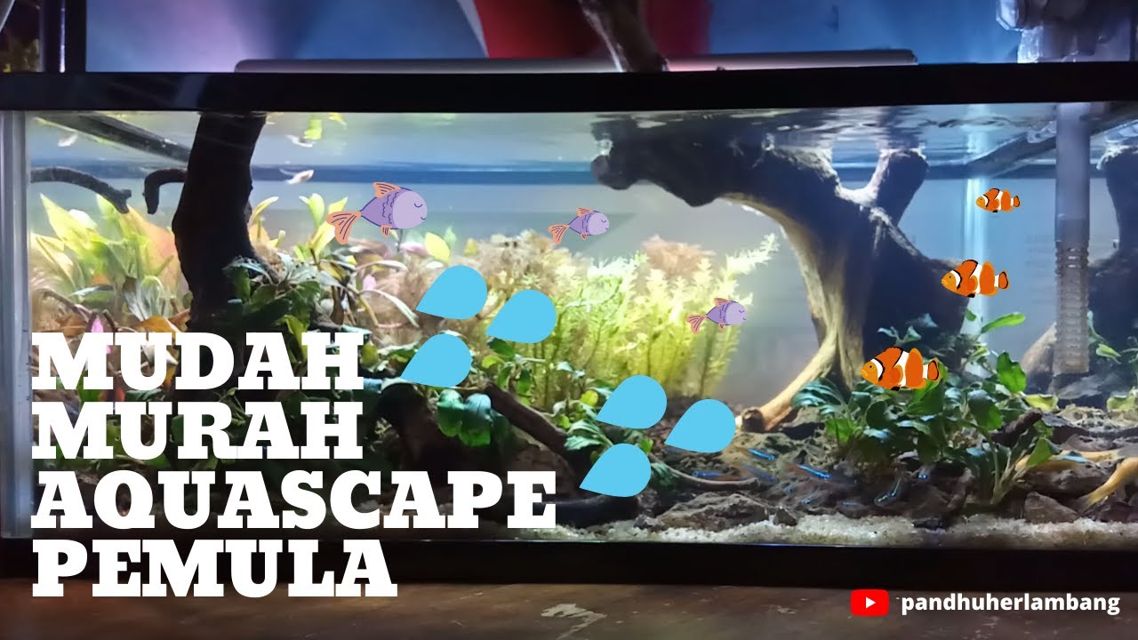 Detail Tutorial Aquascape Pemula Nomer 44