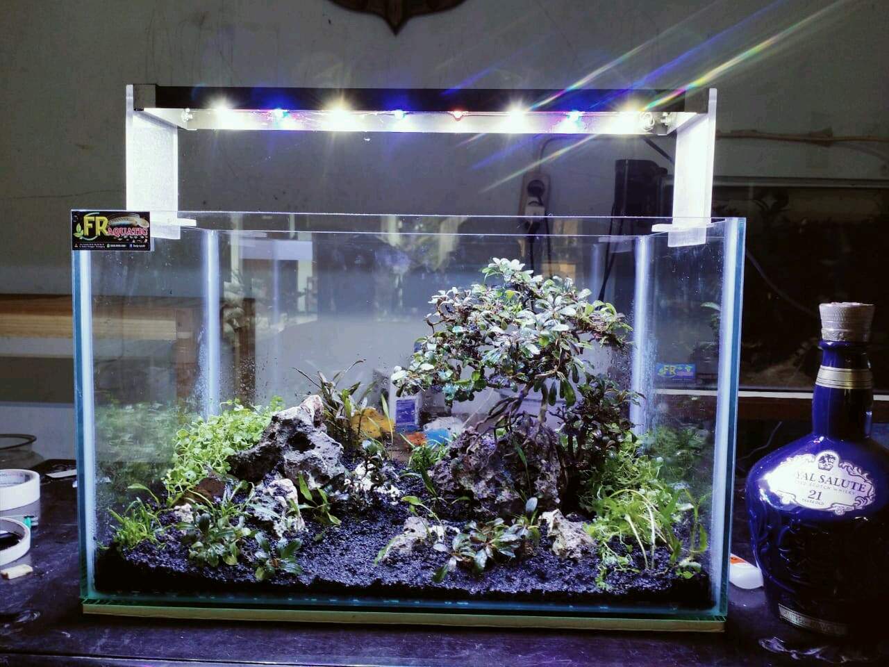 Detail Tutorial Aquascape Pemula Nomer 49