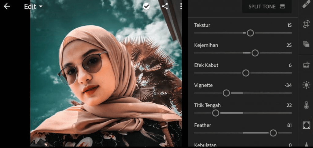 Detail Tutorial Edit Foto Nomer 8
