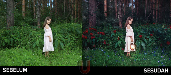 Detail Tutorial Edit Photoshop Terbaik Nomer 7