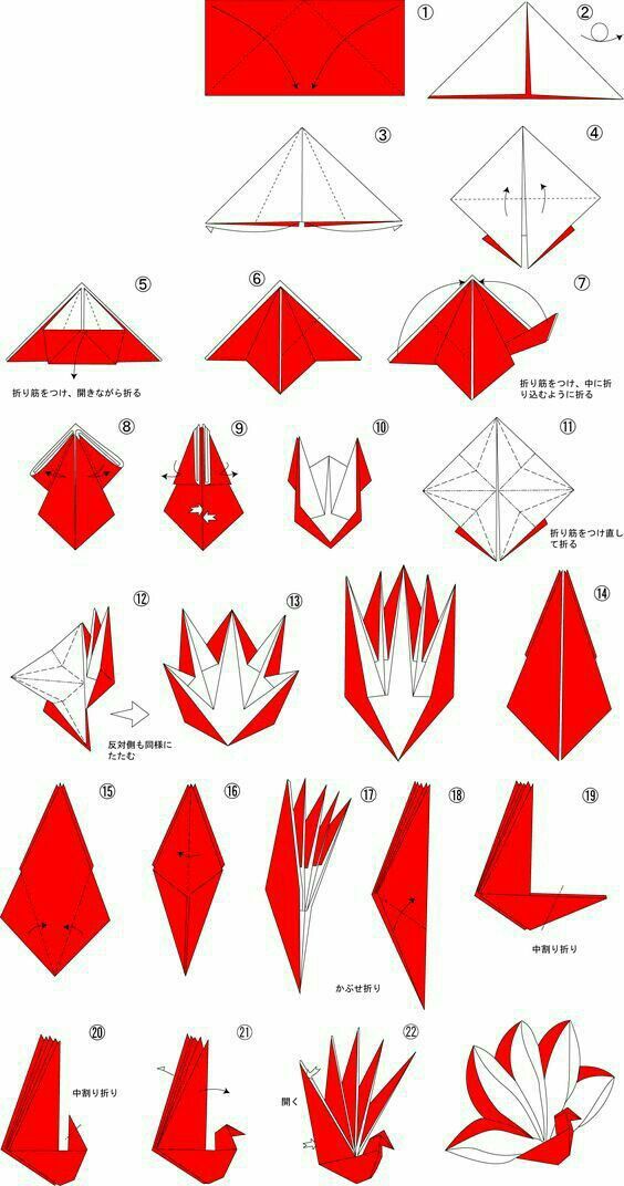 Detail Tutorial Origami Burung Nomer 11