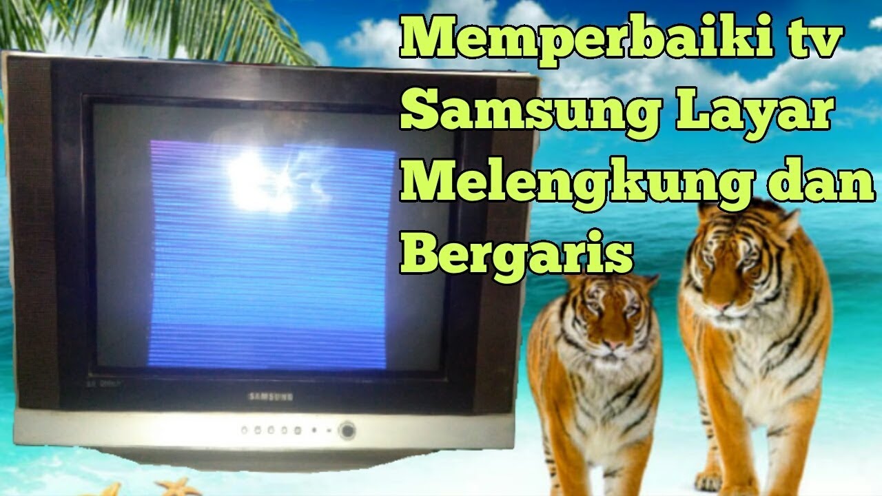 Detail Tv Samsung Dniejrgambar Kadang Muncul Kadang Tidak Nomer 10