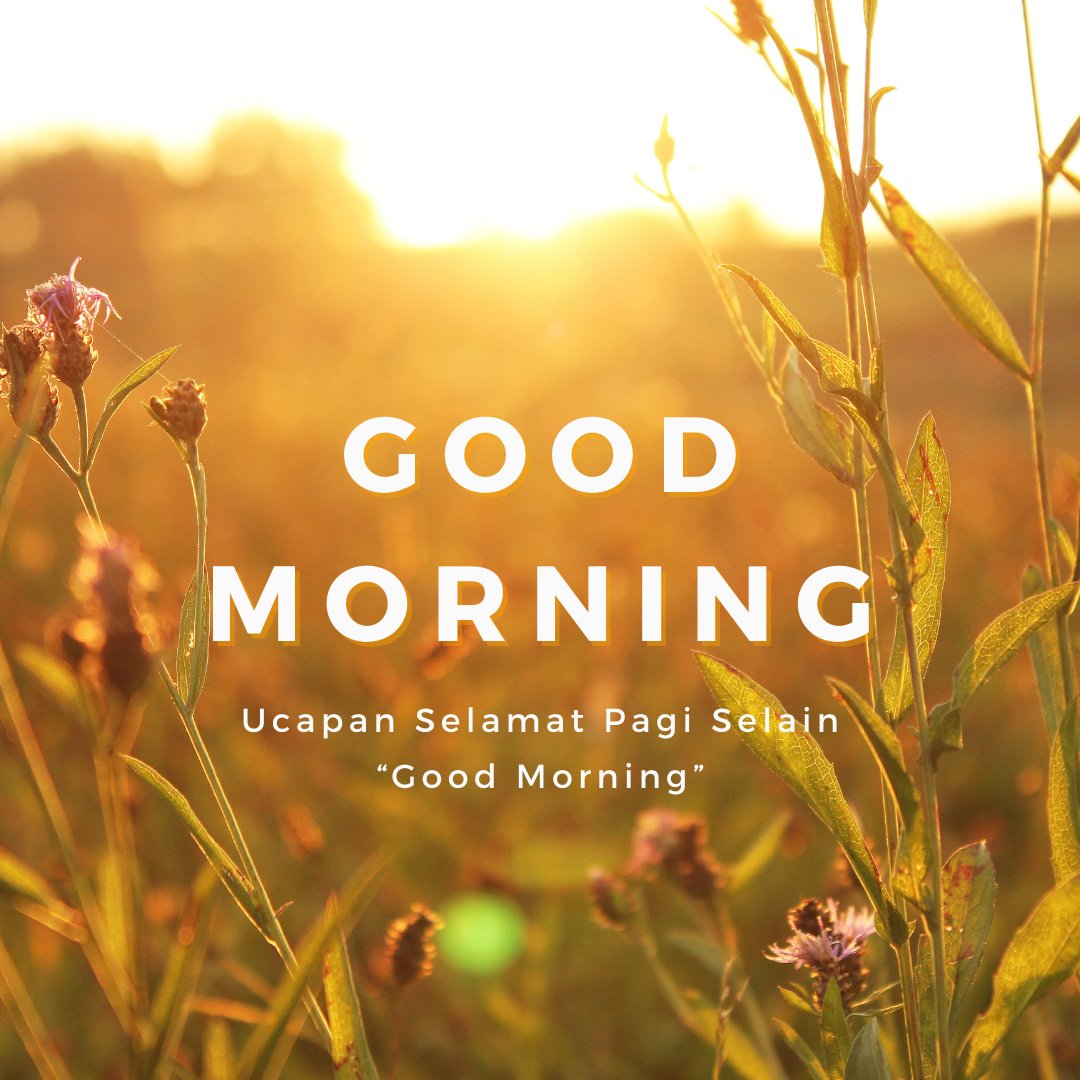 Detail Ucapan Good Morning Nomer 44