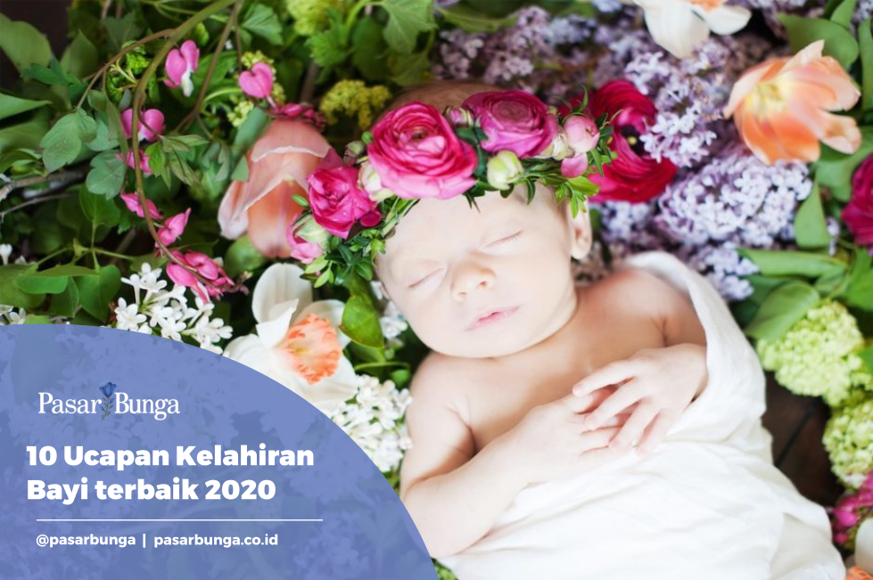 Detail Ucapan Kelahiran Bayi Islam Nomer 18