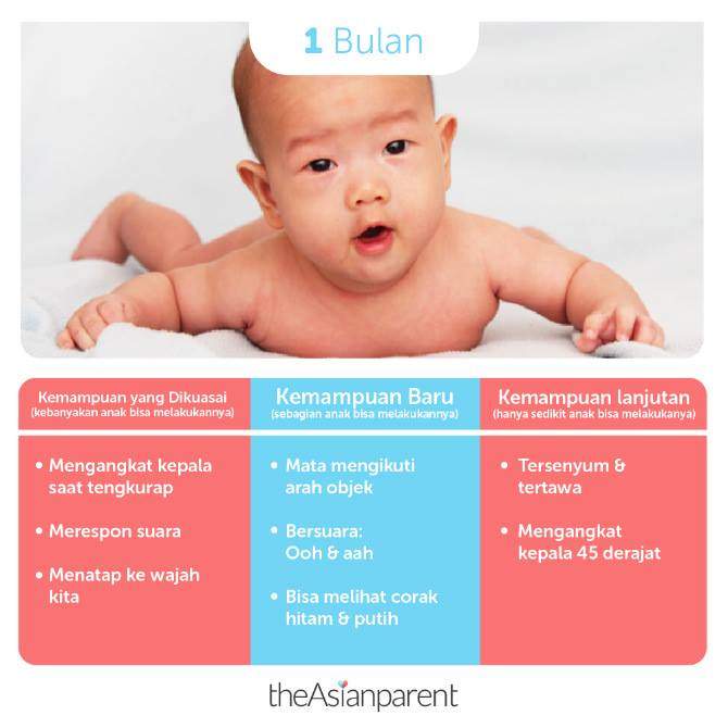 Detail Ucapan Selamat 1 Bulan Bayi Nomer 42