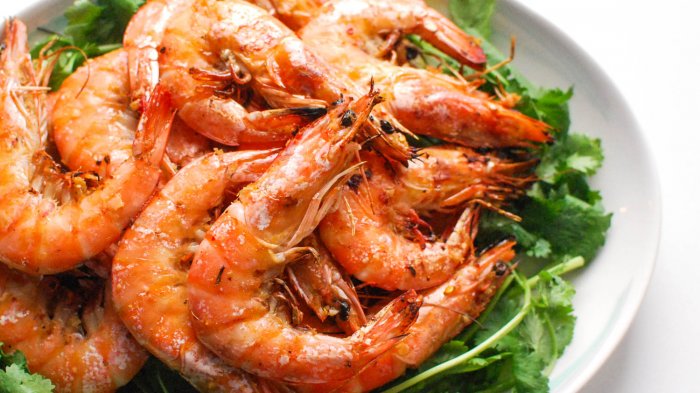 Detail Udang Makan Apa Nomer 25