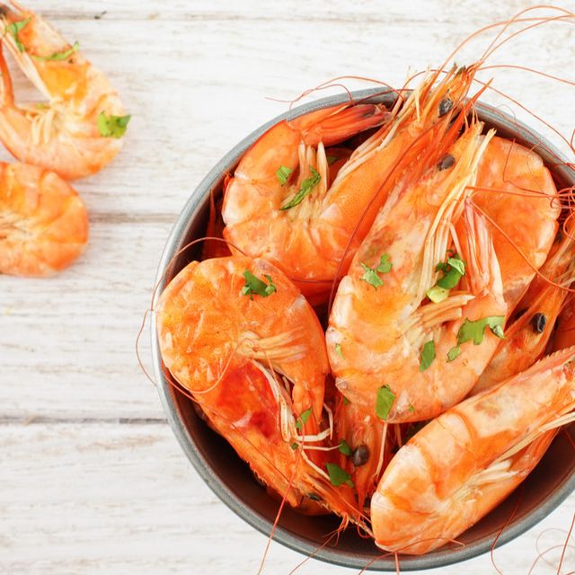 Detail Udang Makan Apa Nomer 26