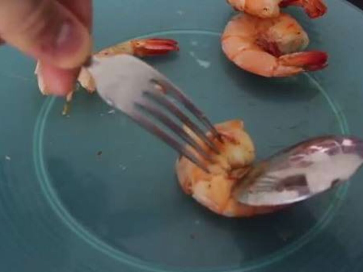 Detail Udang Makan Apa Nomer 42