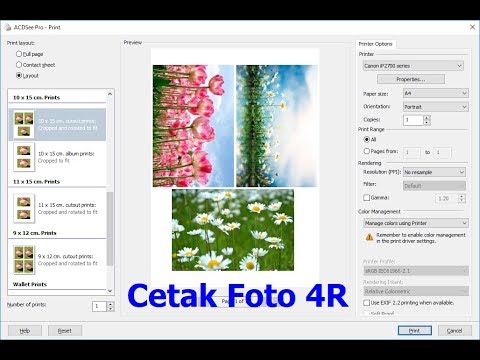 Detail Ukuran Foto 4r Adalah Nomer 32