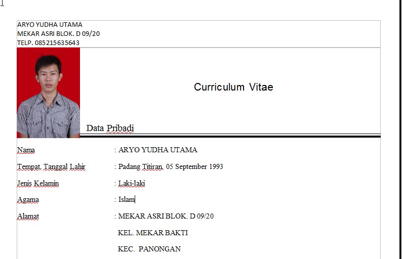 Detail Ukuran Foto Untuk Cv Nomer 20