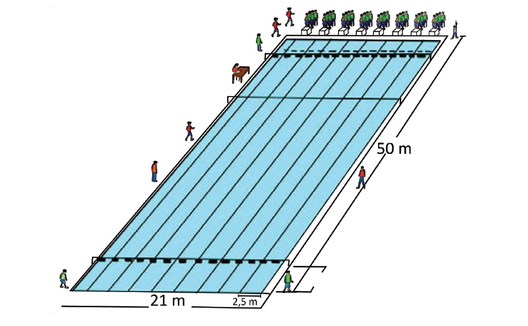 Detail Ukuran Kolam Renang Untuk Olimpiade Nomer 3