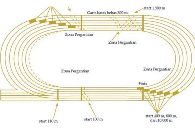 Detail Ukuran Lapangan Atletik Nomer 3