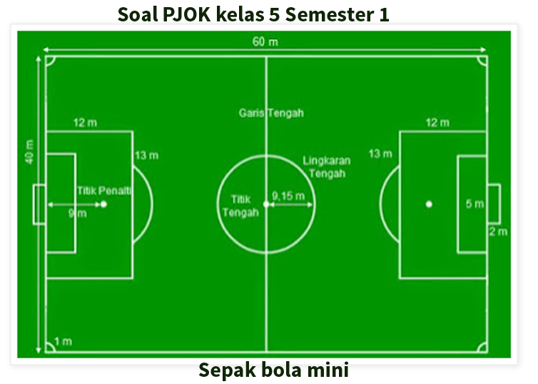 Detail Ukuran Lapangan Sepak Bola Mini Nomer 8