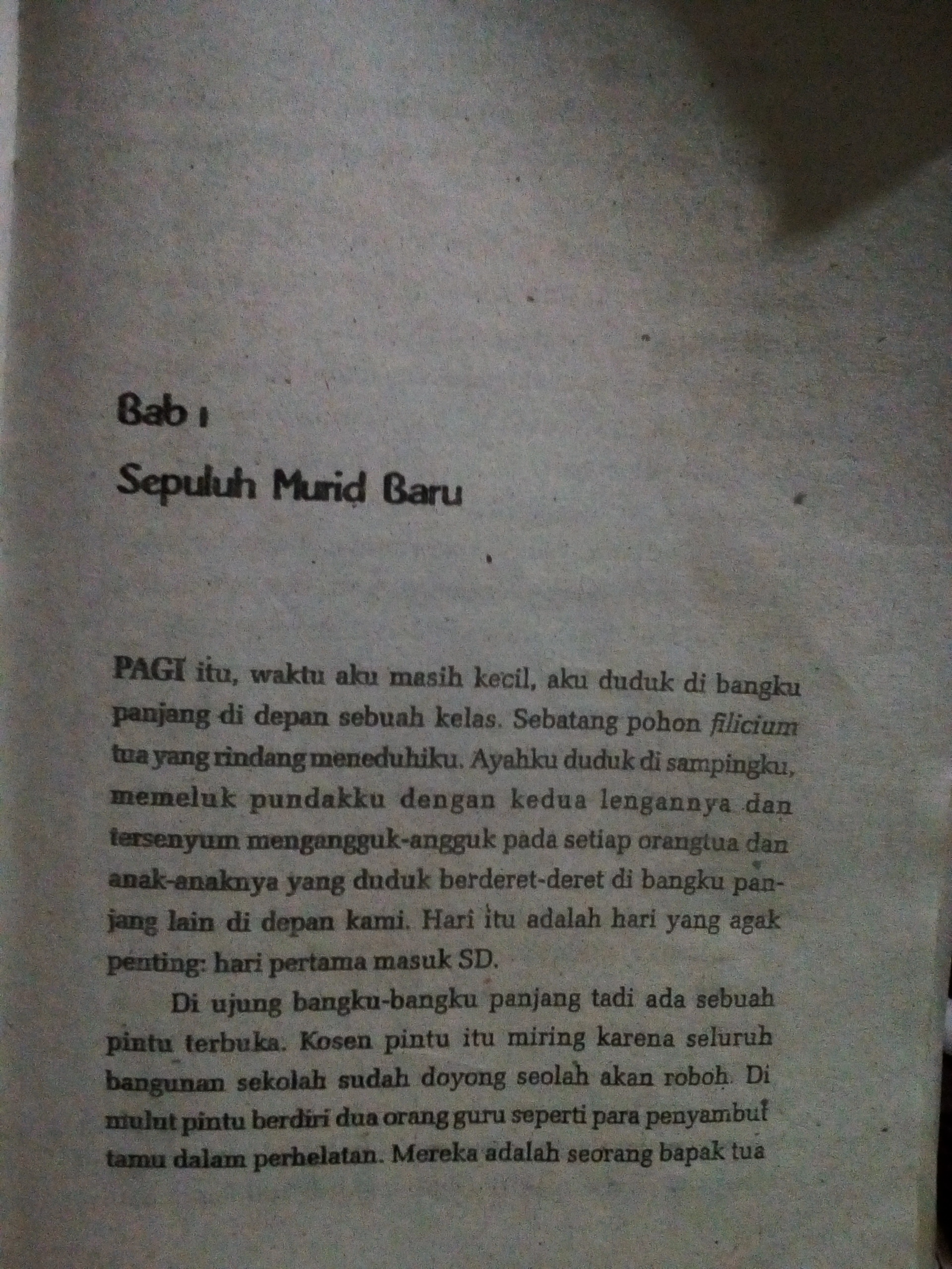 Detail Ulasan Buku Laskar Pelangi Nomer 30