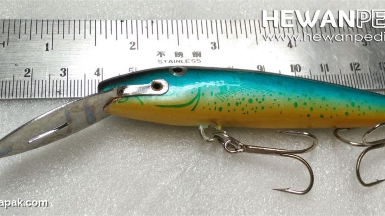 Detail Umpan Trolling Rapala Nomer 16
