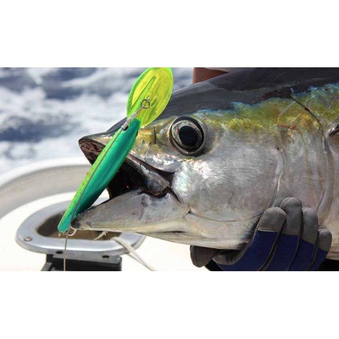 Detail Umpan Trolling Rapala Nomer 17