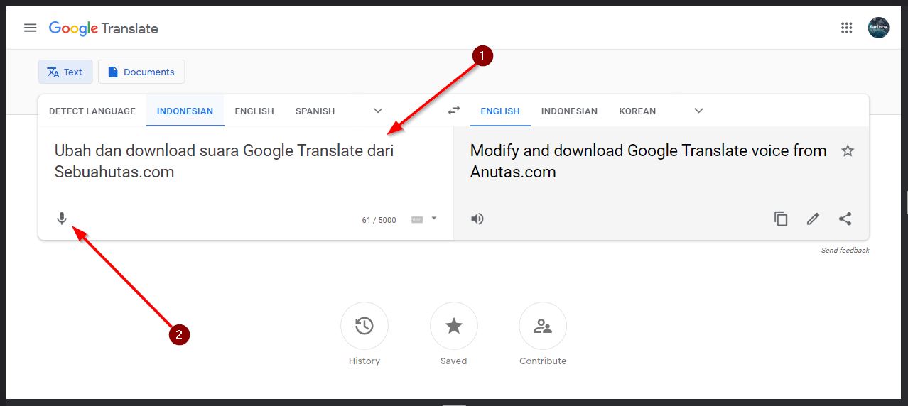 Detail Unduh Google Translate Nomer 36