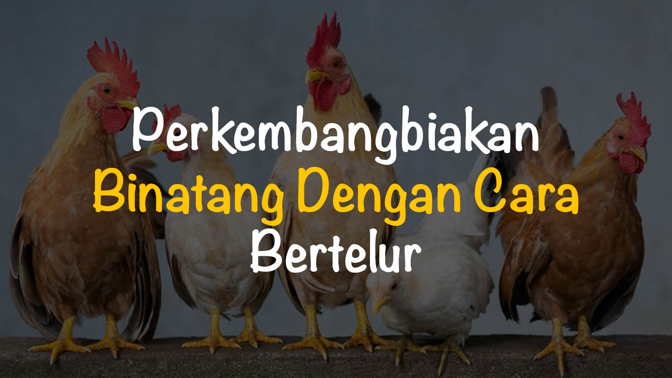 Detail Unggas Berkembang Biak Dengan Cara Nomer 17