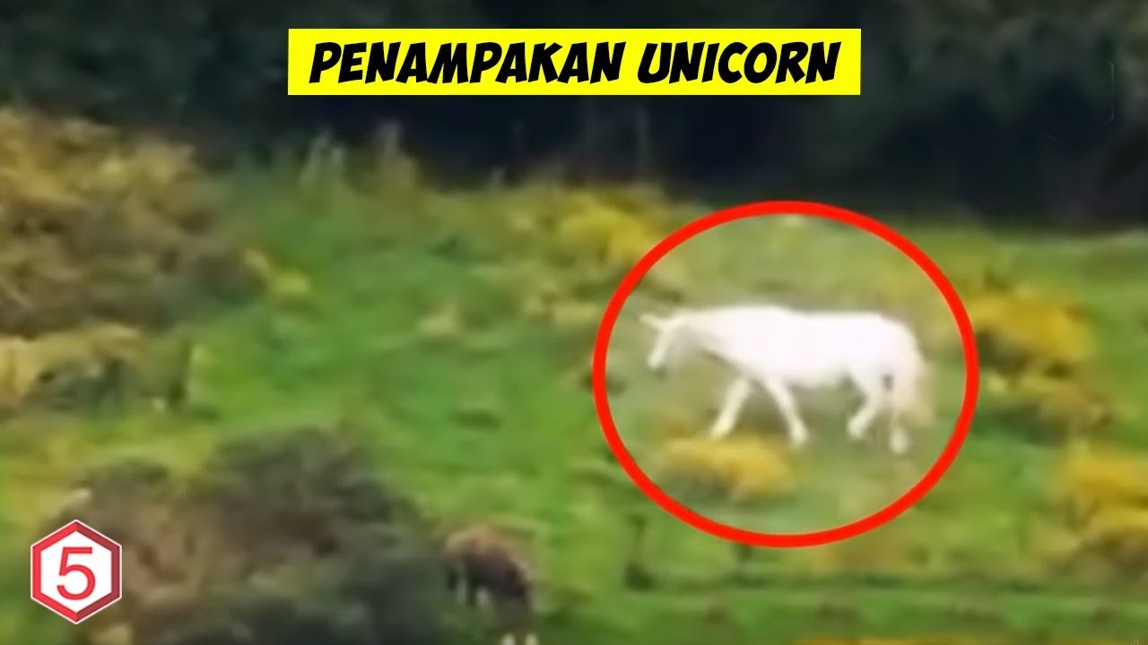 Detail Unicorn Adalah Hewan Nomer 17