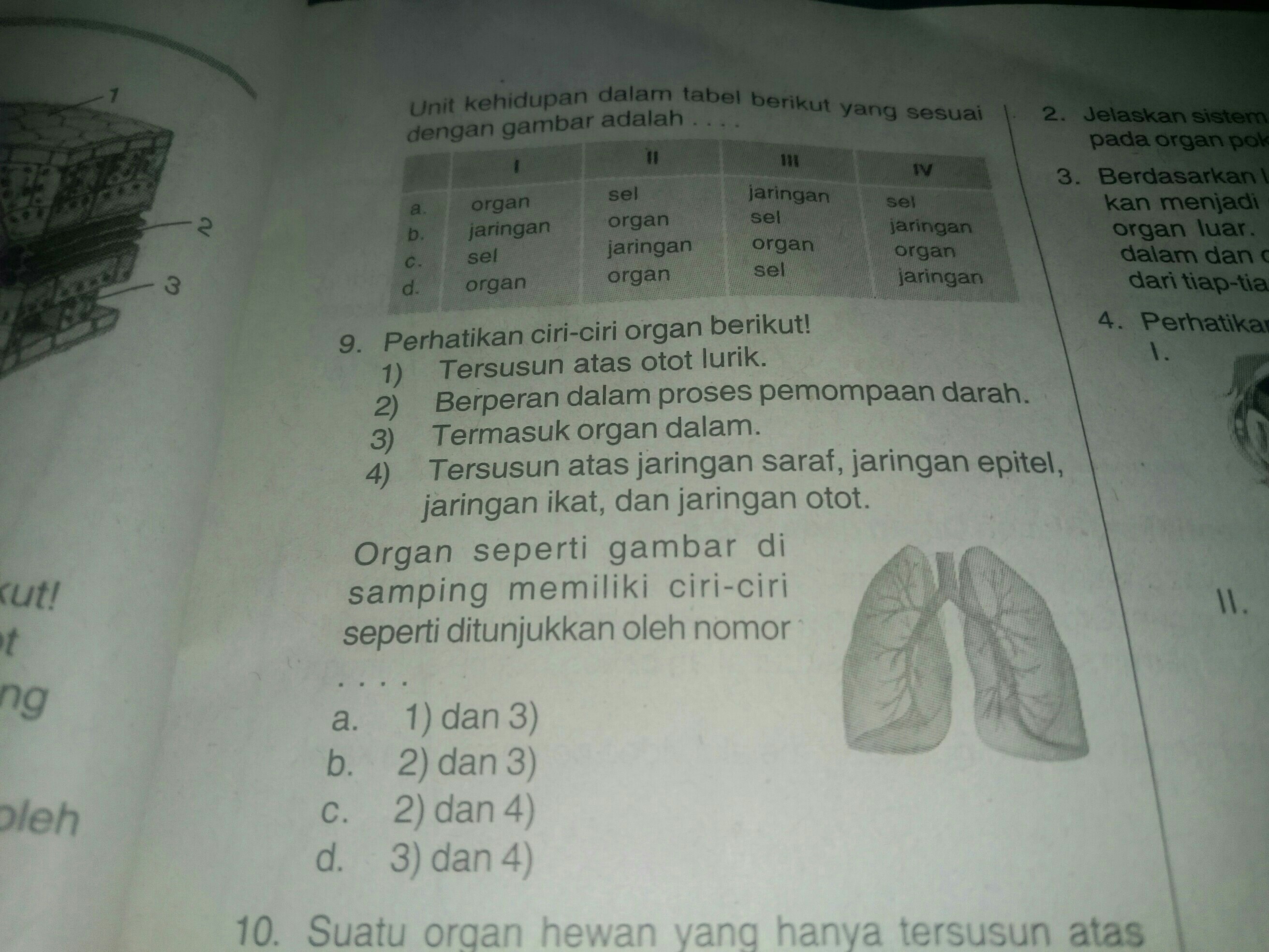 Detail Unit Kehidupan Dalam Tabel Berikut Yang Sesuai Dengan Gambar Adalah Nomer 5