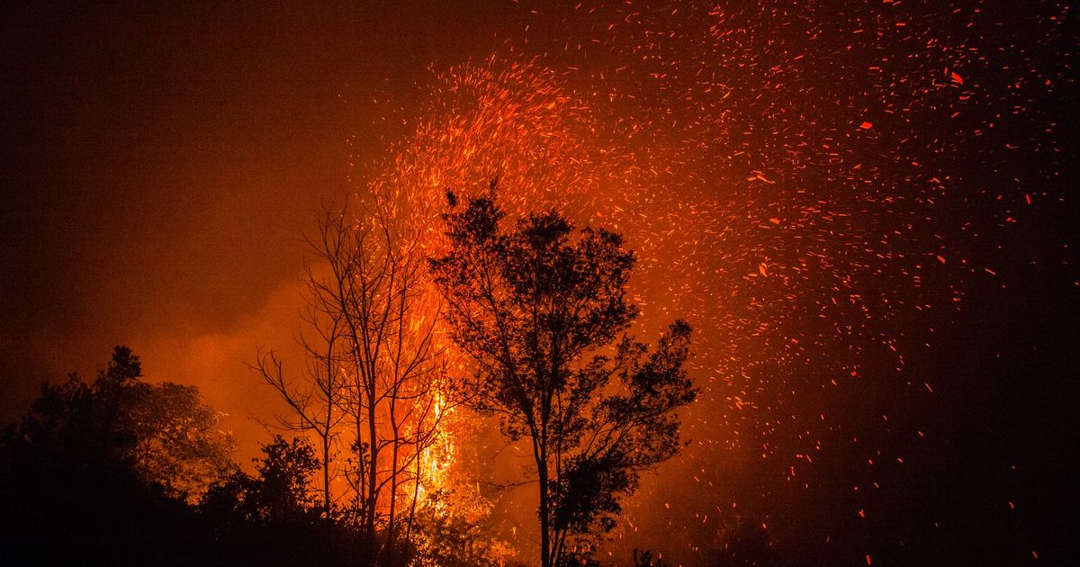 Detail Untuk Mengurangi Tingkat Transparansi Gambar Dapat Dilakukan Dengan Mengurangi Nilai Nomer 23