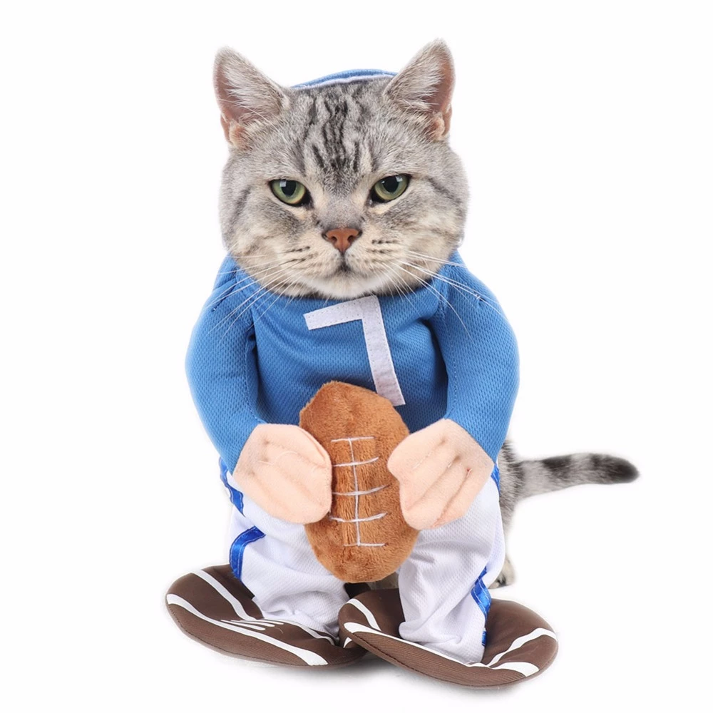 Detail Vegeta Untuk Kucing Nomer 10