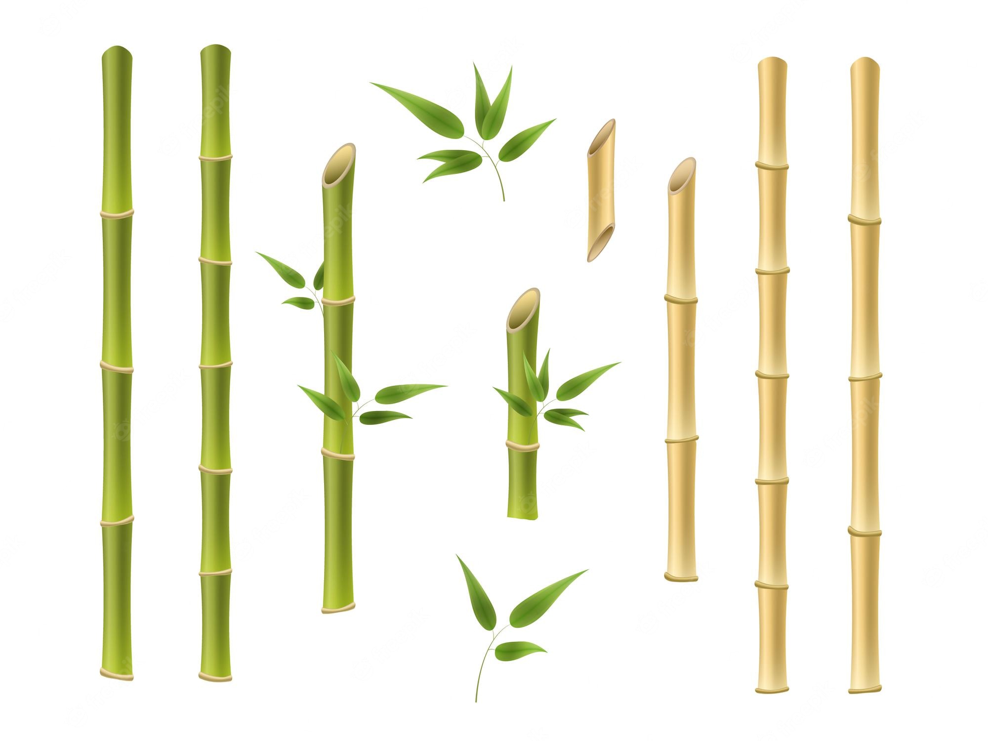 Detail Vektor Bambu Runcing Nomer 30