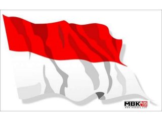 Detail Vektor Bendera Merah Putih Nomer 38