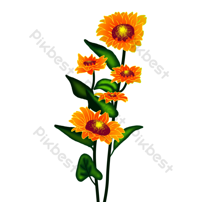 Detail Vektor Bunga Matahari Nomer 36