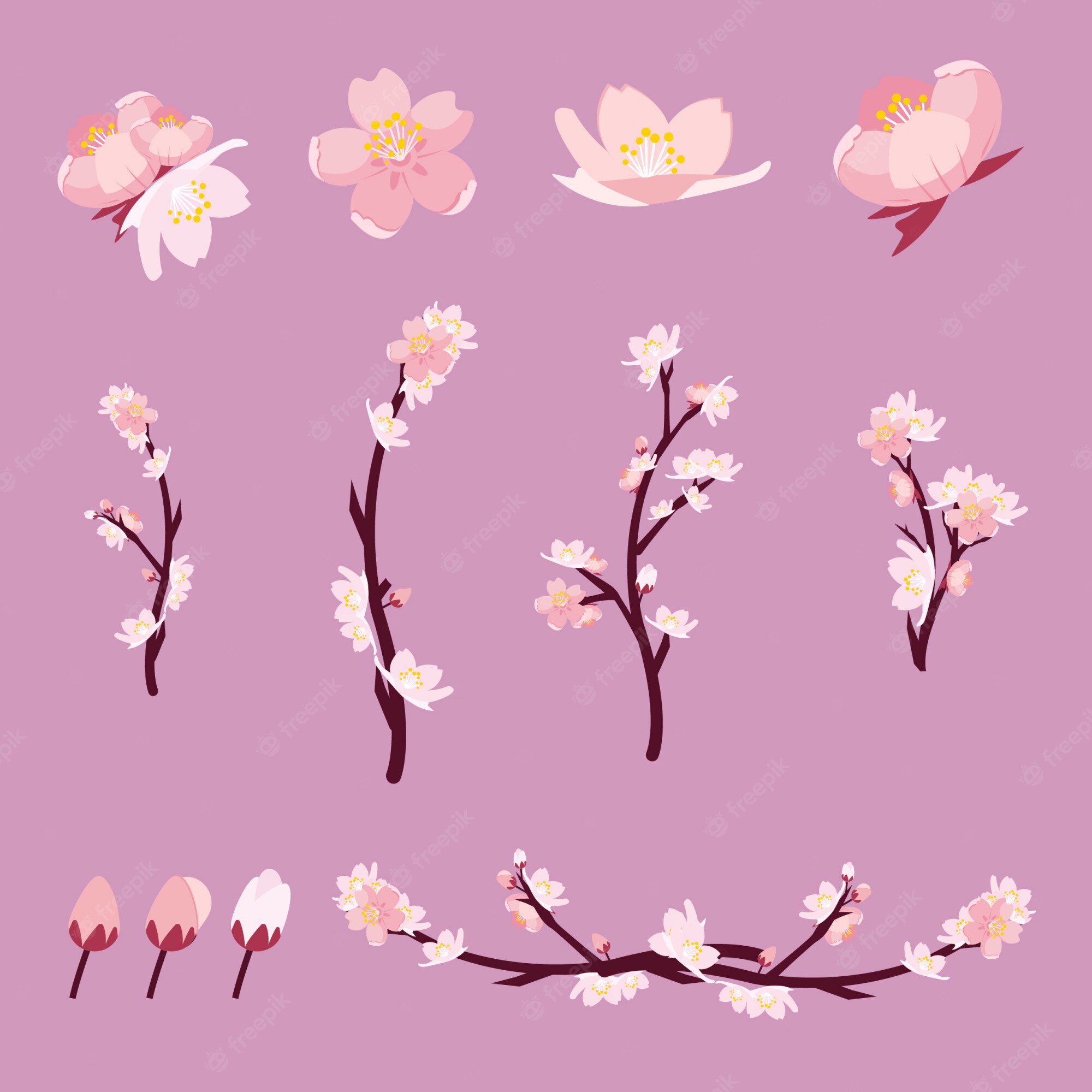 Detail Vektor Bunga Sakura Nomer 29