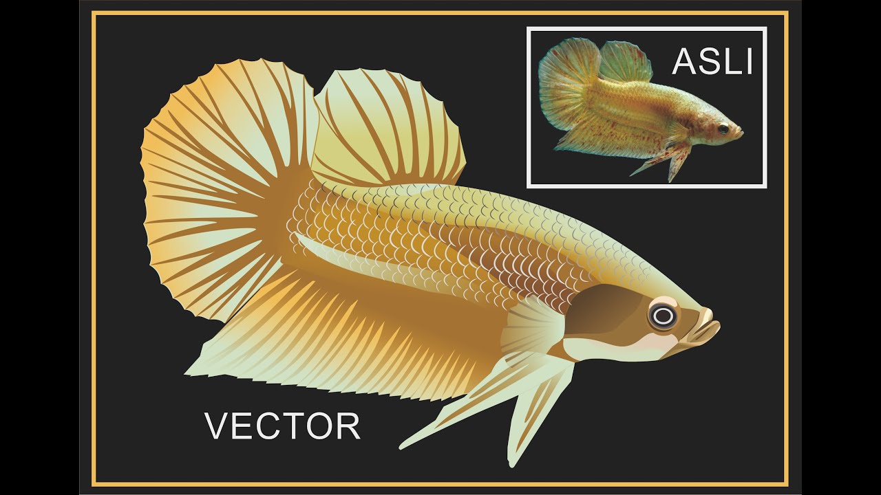 Detail Vektor Ikan Cupang Nomer 23