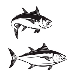 Detail Vektor Ikan Tuna Nomer 15