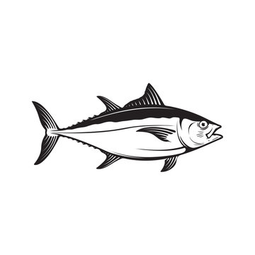 Detail Vektor Ikan Tuna Nomer 43