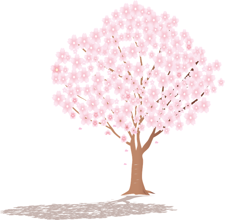 Detail Vektor Pohon Sakura Nomer 30