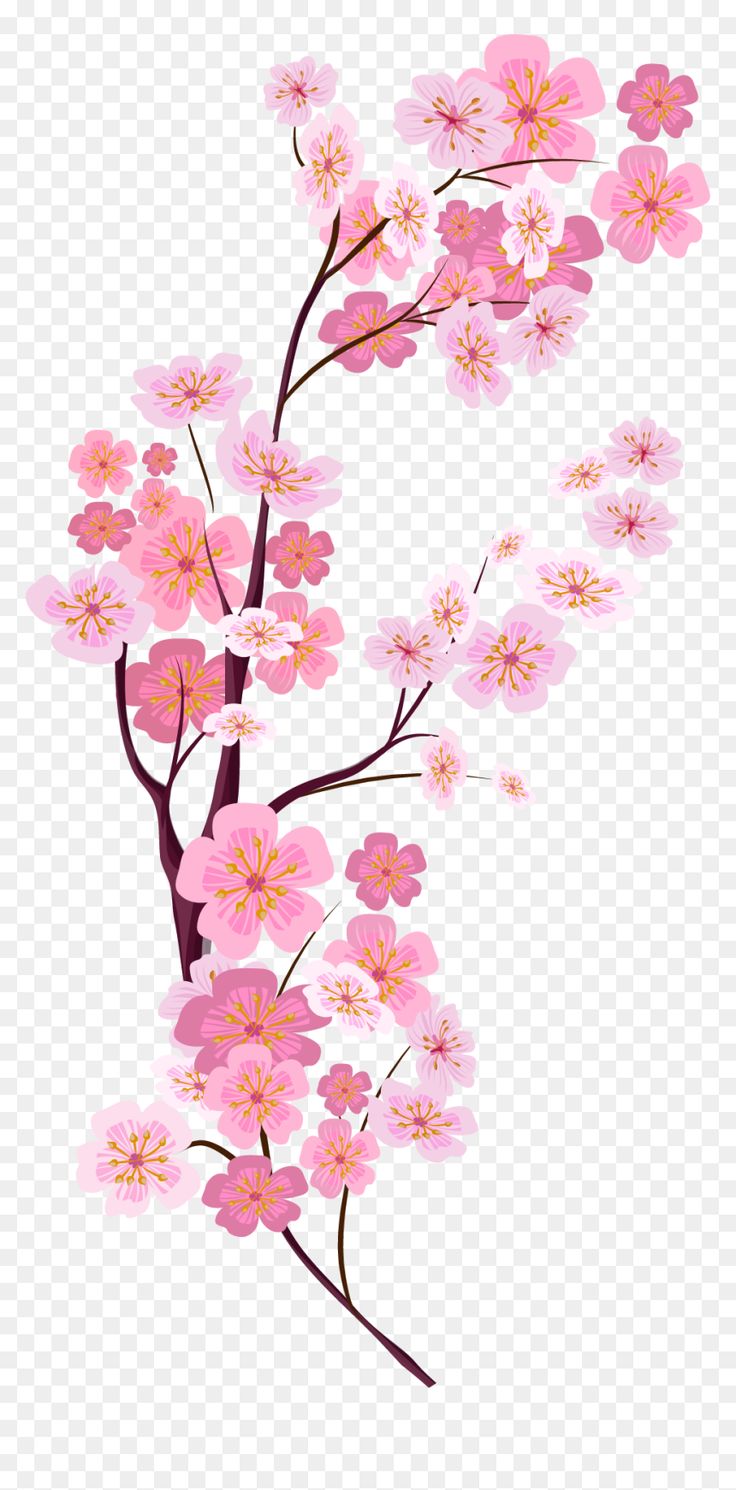 Detail Vektor Pohon Sakura Nomer 36