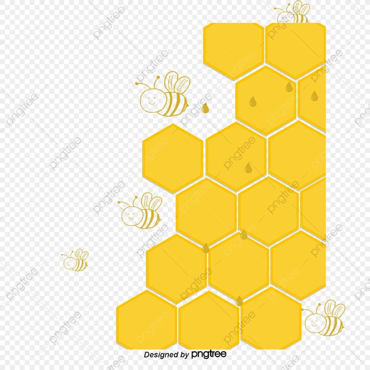 Detail Vektor Sarang Lebah Png Nomer 22