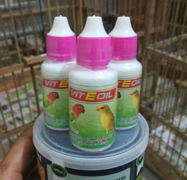 Detail Vitamin E Untuk Burung Nomer 4