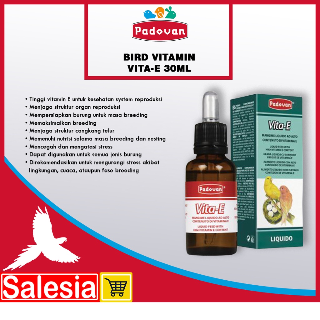 Detail Vitamin E Untuk Burung Nomer 50